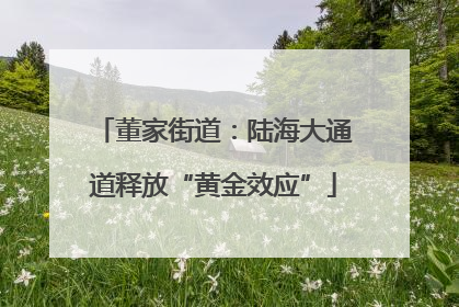董家街道：陆海大通道释放“黄金效应”