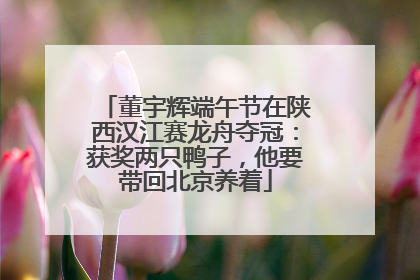 董宇辉端午节在陕西汉江赛龙舟夺冠：获奖两只鸭子，他要带回北京养着
