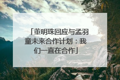 董明珠回应与孟羽童未来合作计划：我们一直在合作