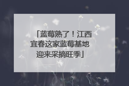 蓝莓熟了！江西宜春这家蓝莓基地迎来采摘旺季