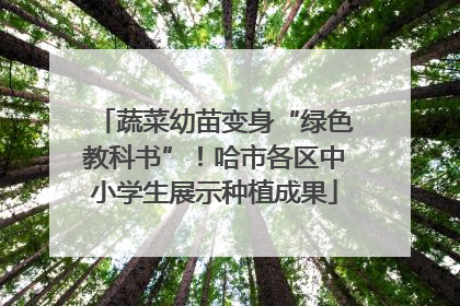 蔬菜幼苗变身“绿色教科书”！哈市各区中小学生展示种植成果