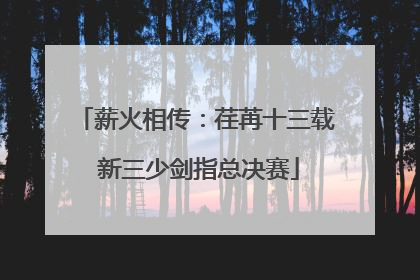 薪火相传：荏苒十三载 新三少剑指总决赛