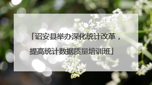 诏安县举办深化统计改革，提高统计数据质量培训班