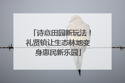 诗意田园新玩法！礼贤镇让生态林地变身惠民新乐园