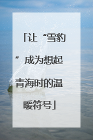 让“雪豹”成为想起青海时的温暖符号