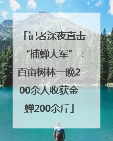 记者深夜直击“捕蝉大军”：百亩树林一晚200余人收获金蝉200余斤