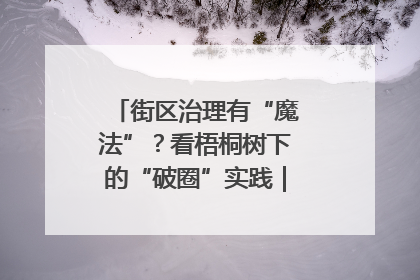 街区治理有“魔法”？看梧桐树下的“破圈”实践｜我在街区当书记