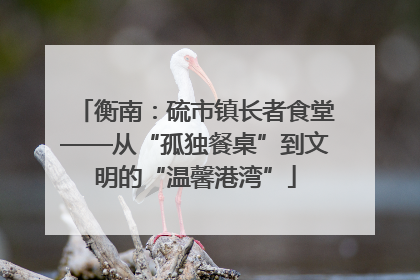 衡南：硫市镇长者食堂——从“孤独餐桌”到文明的“温馨港湾”
