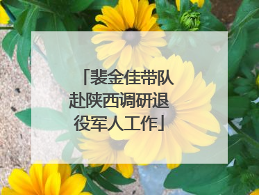 裴金佳带队赴陕西调研退役军人工作