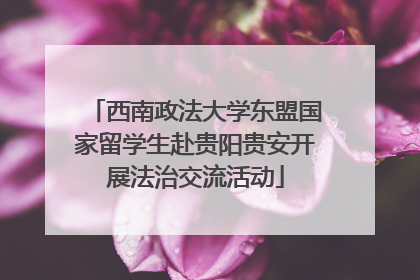西南政法大学东盟国家留学生赴贵阳贵安开展法治交流活动