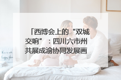 西博会上的“双城交响”：四川六市州共展成渝协同发展画卷｜西博视界