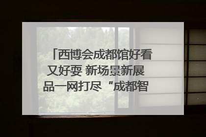 西博会成都馆好看又好耍 新场景新展品一网打尽“成都智造”｜西博视界