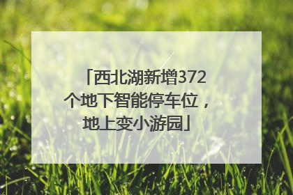 西北湖新增372个地下智能停车位，地上变小游园
