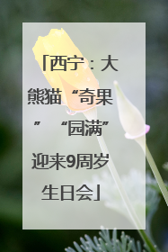 西宁：大熊猫“奇果”“园满”迎来9周岁生日会