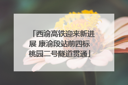 西渝高铁迎来新进展 康渝段站前四标桃园二号隧道贯通