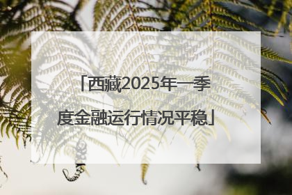西藏2025年一季度金融运行情况平稳
