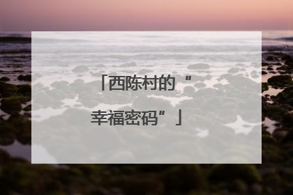 西陈村的“幸福密码”