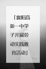 襄阳高新一中学子开展劳动实践教育活动