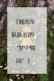 观光车队队长的“梦中情岗”
