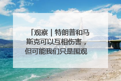 观察｜特朗普和马斯克可以互相伤害，但可能我们只是围观了一场闹剧