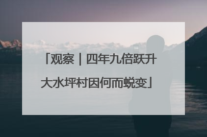 观察｜四年九倍跃升 大水坪村因何而蜕变