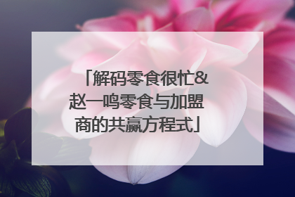 解码零食很忙&赵一鸣零食与加盟商的共赢方程式