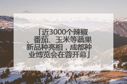 近3000个辣椒、番茄、玉米等蔬果新品种亮相，成都种业博览会在蓉开幕