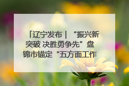 辽宁发布｜“振兴新突破 决胜勇争先”盘锦市锚定“五方面工作”力争全年地区生产总值增长5.5%左右