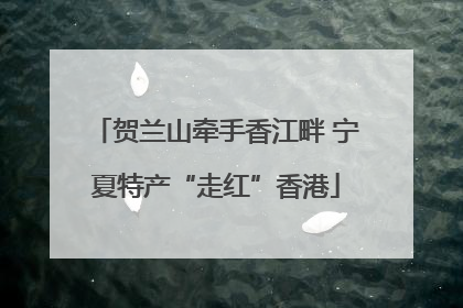 贺兰山牵手香江畔 宁夏特产“走红”香港