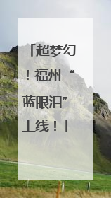 超梦幻！福州“蓝眼泪”上线！