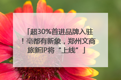 超30%首进品牌入驻!亳都有新象,郑州文商旅新IP将“上线”