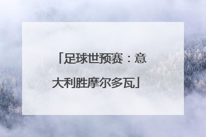 足球世预赛：意大利胜摩尔多瓦