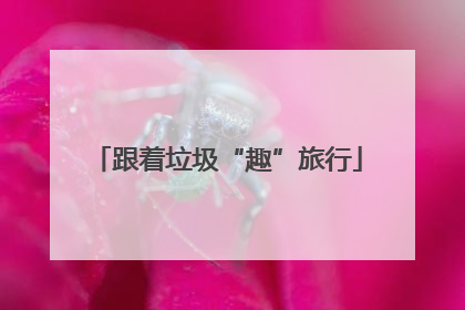 跟着垃圾“趣”旅行