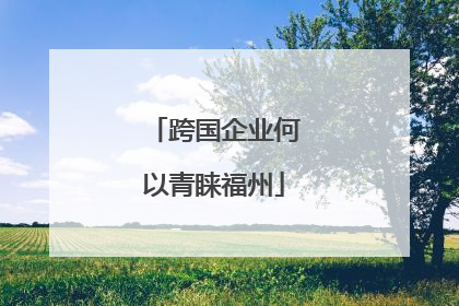 跨国企业何以青睐福州