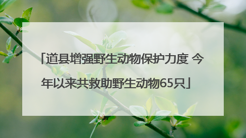道县增强野生动物保护力度 今年以来共救助野生动物65只