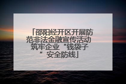 邵阳经开区开展防范非法金融宣传活动 筑牢企业“钱袋子”安全防线