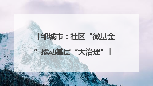 邹城市：社区“微基金”撬动基层“大治理”