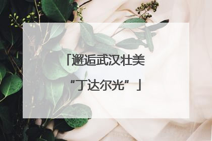 邂逅武汉壮美“丁达尔光”