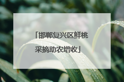 邯郸复兴区鲜桃采摘助农增收