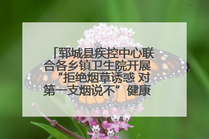 郓城县疾控中心联合各乡镇卫生院开展“拒绝烟草诱惑 对第一支烟说不”健康教育宣传活动