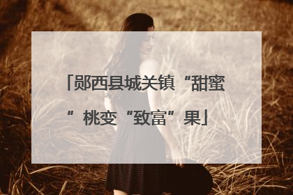 郧西县城关镇“甜蜜”桃变“致富”果