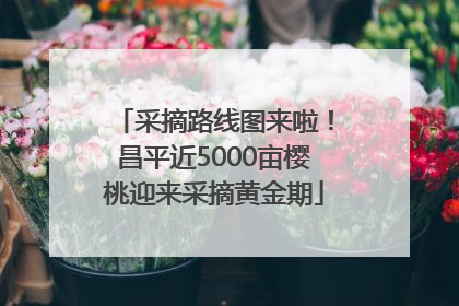 采摘路线图来啦！昌平近5000亩樱桃迎来采摘黄金期