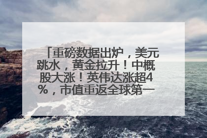重磅数据出炉，美元跳水，黄金拉升！中概股大涨！英伟达涨超4%，市值重返全球第一！黄仁勋计划出售至多600万股股票