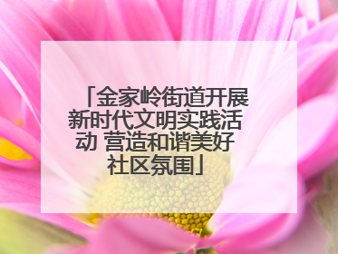 金家岭街道开展新时代文明实践活动 营造和谐美好社区氛围