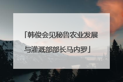 韩俊会见秘鲁农业发展与灌溉部部长马内罗
