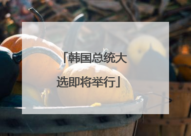 韩国总统大选即将举行