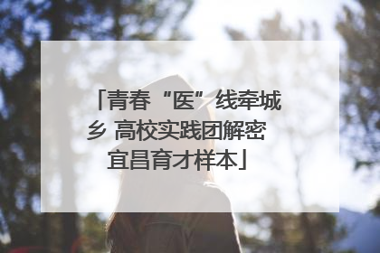 青春“医”线牵城乡 高校实践团解密宜昌育才样本