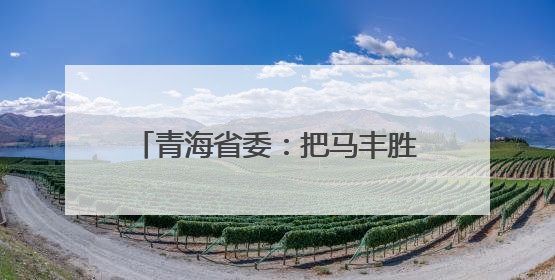 青海省委：把马丰胜案作为典型案例，以身边事教育身边人