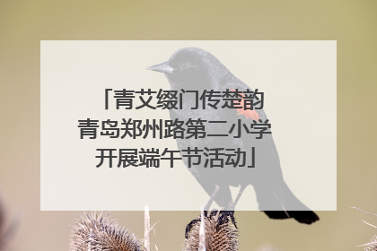 青艾缀门传楚韵 青岛郑州路第二小学开展端午节活动