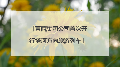 青藏集团公司首次开行塔河方向旅游列车